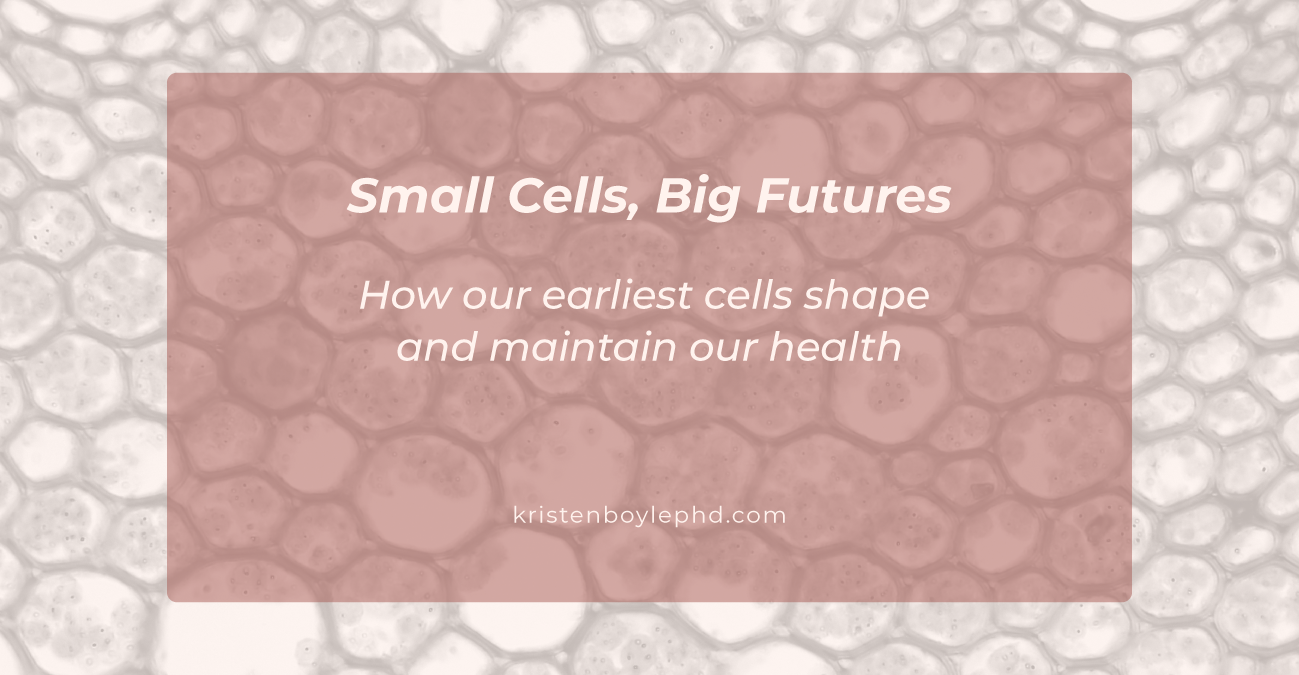 Small Cells, Big Futures