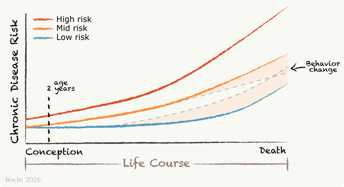 A horizontal timeline from conception through adulthood highlights the first 1,000 days. The x‑axis is age across the lifecourse from conception to death; the y‑axis is chronic disease risk. Three lines show low, mid, and high risk trajectory lines all increase over the life course, with higher risk increasing fastest. Two faint shaded regions illustrate how later life can reinforce or reduce the health trajectories. 