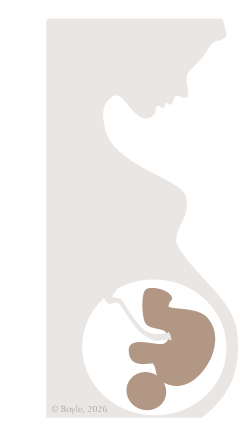 A stylized graphic of a pregnant woman with overlay of fetus and umbilical cord.