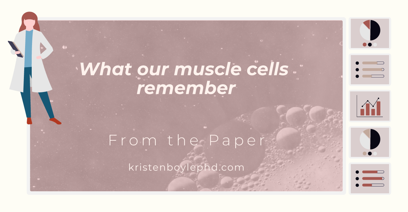 What our muscle cells remember