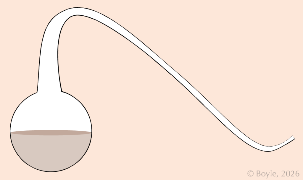 A simple diagram of a swan‑neck flask with a round base partially filled with liquid and a long, curved neck designed to allow air in while trapping dust and particles so they cannot come into contact with the liquid.